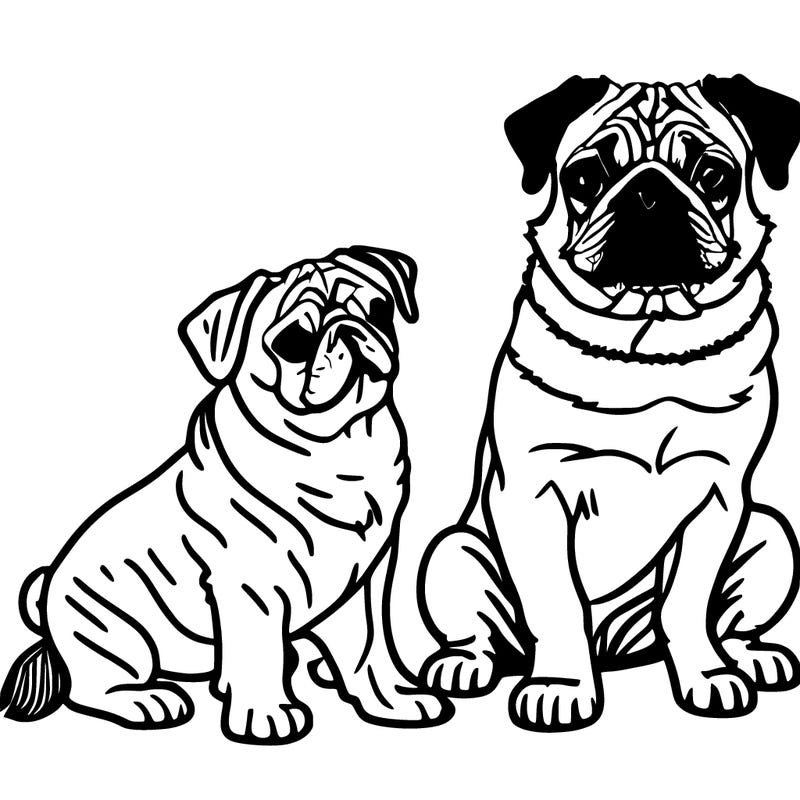 pugs