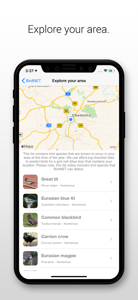 Una pantalla de smartphone mostrando la función de explorar tu área de la aplicación BirdNET con un mapa y una lista de especies de aves locales, incluyendo el Herrerillo común y el Mirlo común