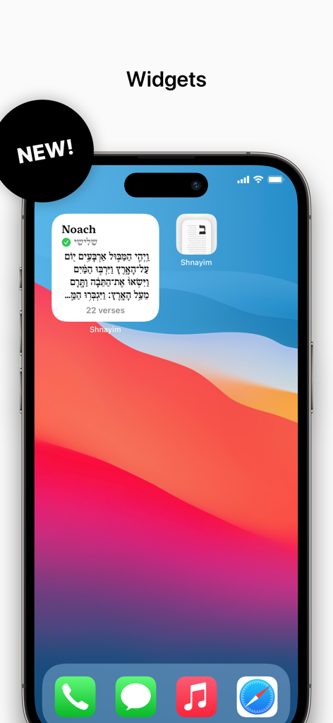 Shnayim app home screen widget displaying Hebrew Torah verses and progress tracking.