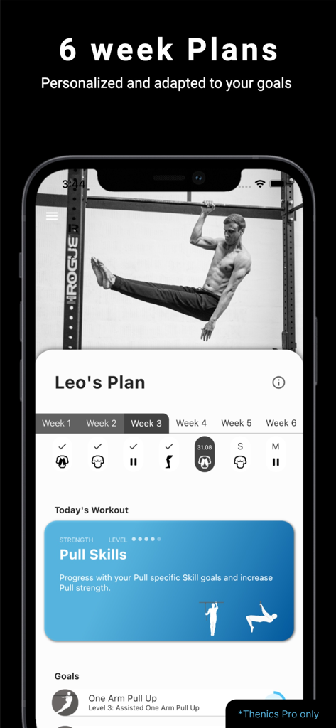 Personalized 6-week calisthenics training plan in the Thenics app dashboard