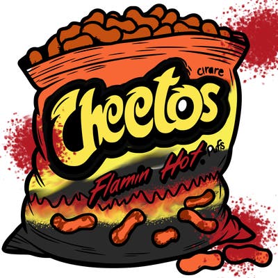 a bag of flamin hot cheeto puffs