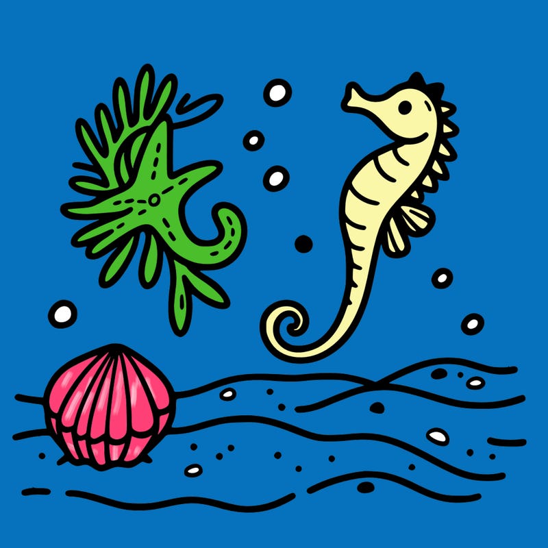 sand, sea horse, starfish