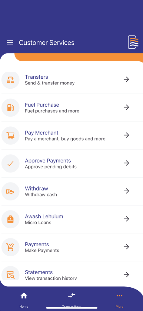AwashBIRR Pro - AwashBIRR Pro mobile app Customer Services screen with options for money transfers fuel purchases and merchant payments