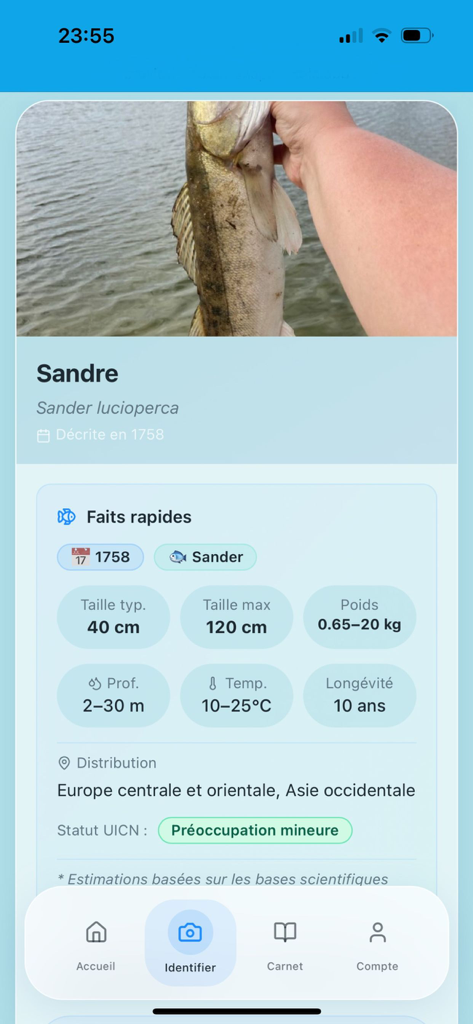 FishScan - Mobile app screen displaying detailed biological facts and conservation status for a Sandre fish
