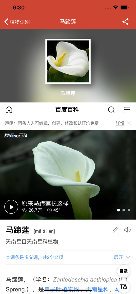 识花神器-形色识花 - Página de identificação e enciclopédia de lírio-calla dentro do aplicativo móvel Artefato de Identificação de Flores