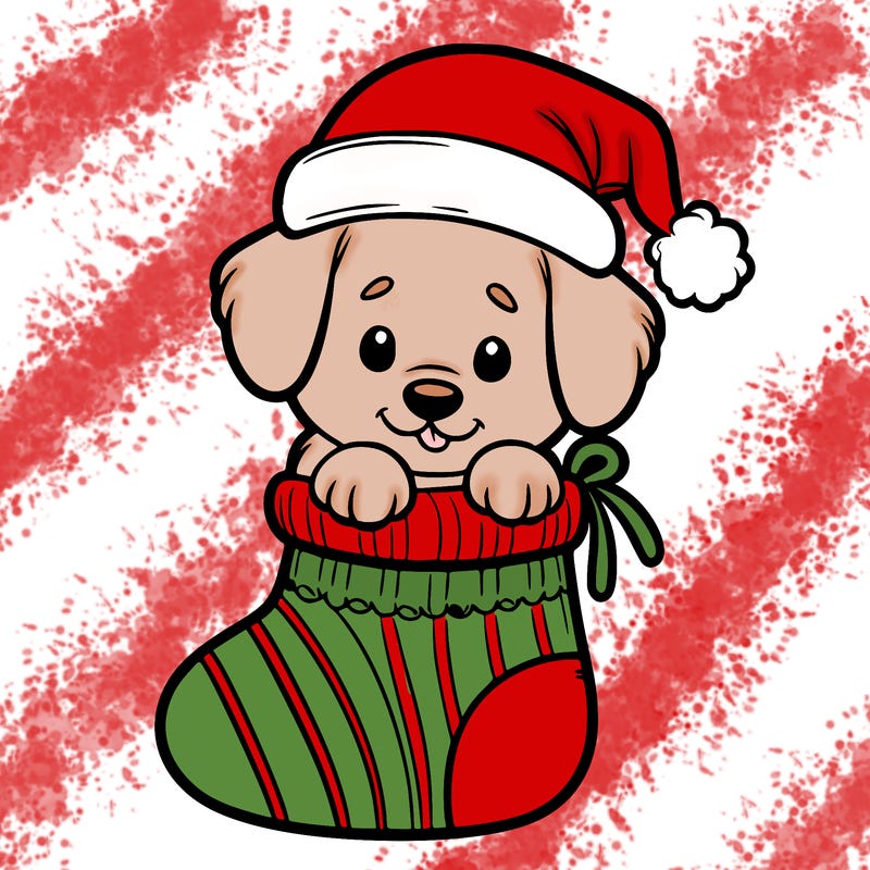 cute puppy wearing santa hat in socking