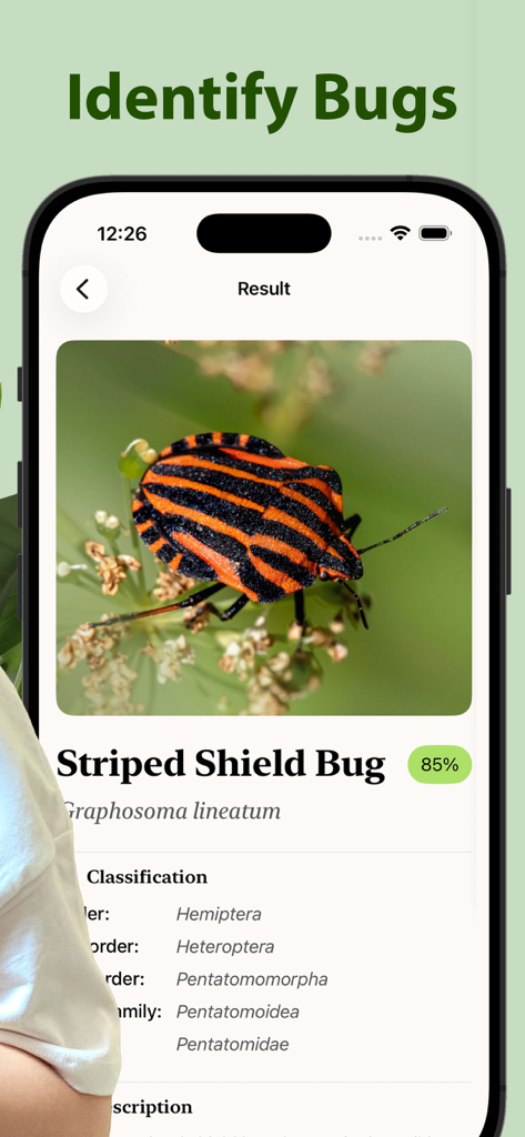 Insecta - Bug Identifier - Insecta app screen showing the identification of a Striped Shield Bug with 85 percent accuracy