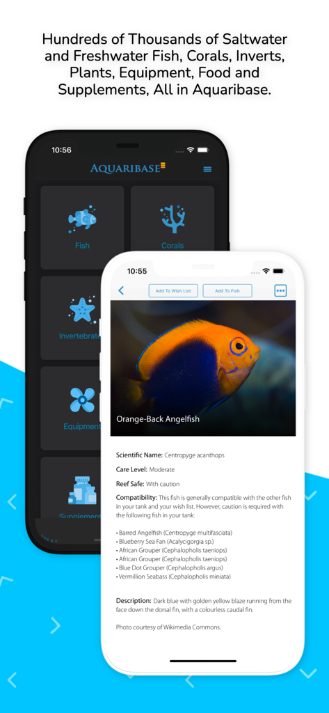 Aquarimate - Aquarimate app interface displaying the Aquaribase livestock library and a specific fish profile for an Orange-Back Angelfish.