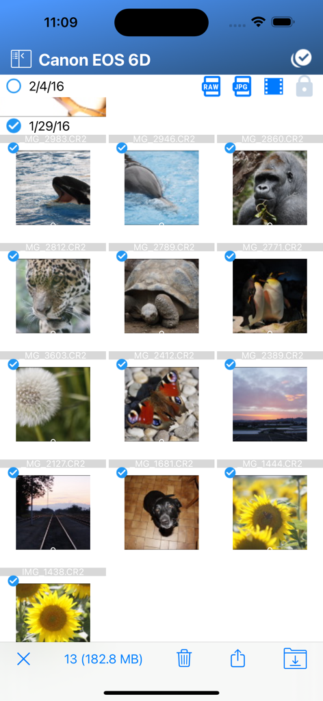 Photo grid interface of Camera Connect and Control app showing selected images from a Canon camera