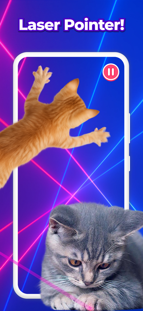 Des chats jouant à un jeu de pointeur laser sur l'écran d'un smartphone.