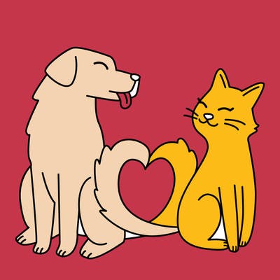animals_22