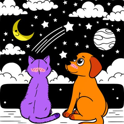 cat and dog looking at the night sky