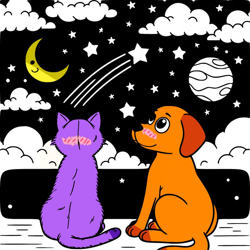 cat and dog looking at the night sky