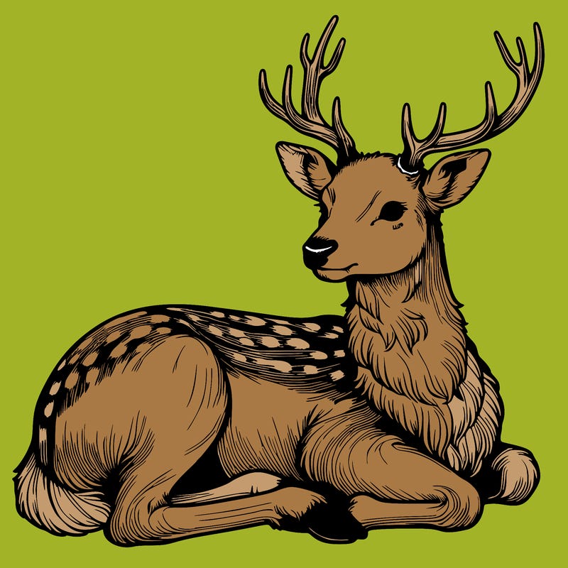 realistic deer with antlers