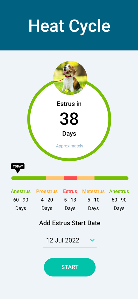 Dogr-App-Oberfläche zur Nachverfolgung des Läufigkeitszyklus mit einem Countdown bis zur nächsten Östrusphase und einer Zeitleiste der Fortpflanzungsphasen.