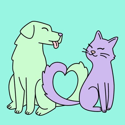 animals_22