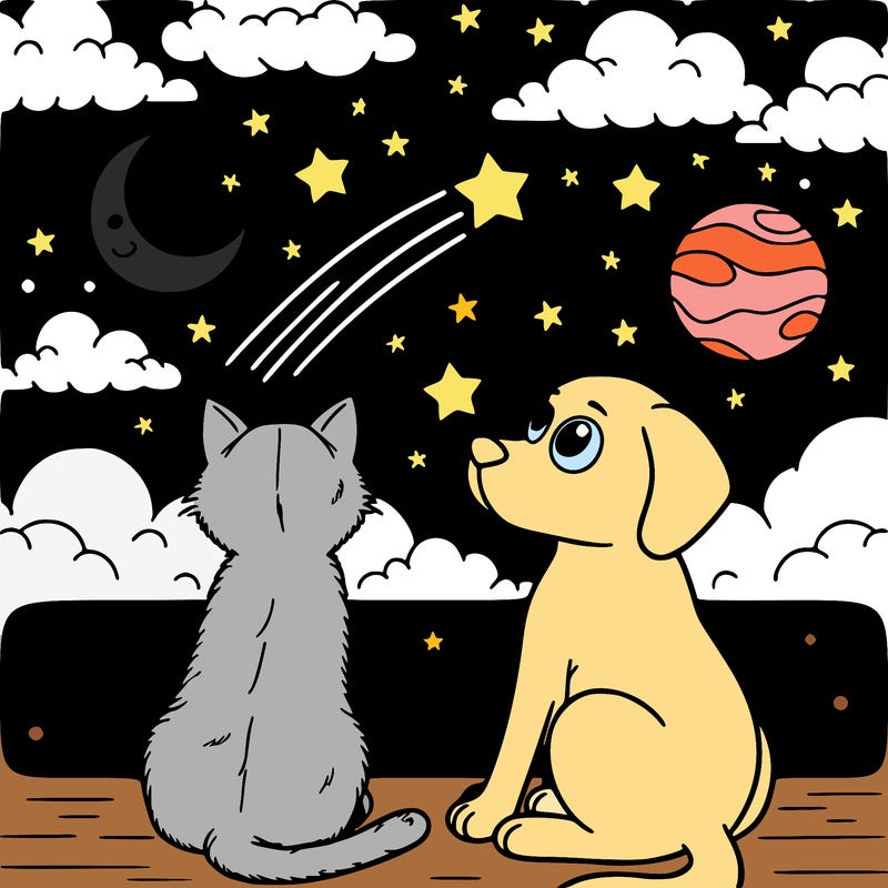 cat and dog looking at the night sky
