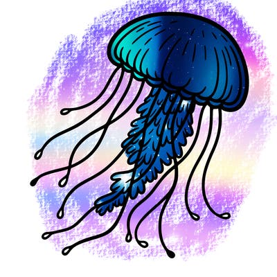 jellyfish