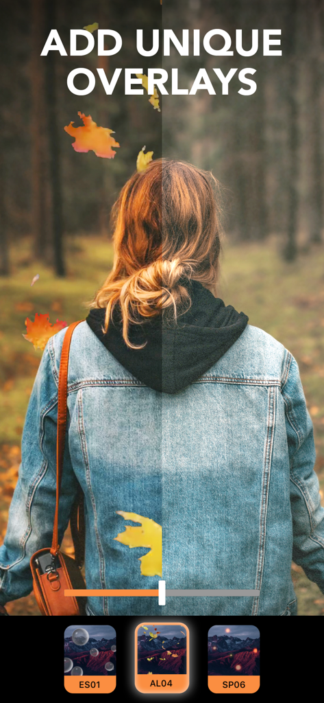 A split screen comparison of a photo before and after adding an animated falling autumn leaves overlay using Motionleap