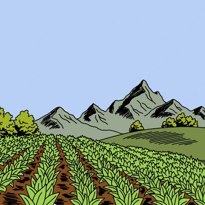 places_08