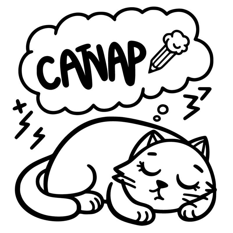 catnap