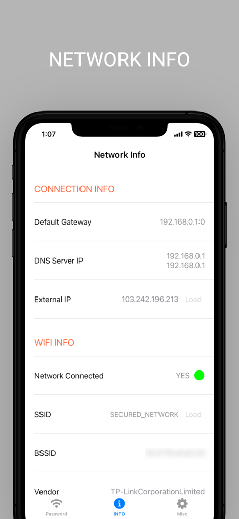 WiFi analyzer app interface showing network connection details including IP addresses and SSID information