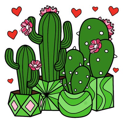 flowers_24_new