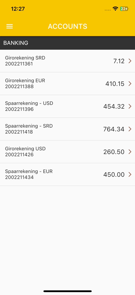 Aperçu de plusieurs comptes bancaires et soldes en SRD USD et EUR sur l'application GODO Mobile Banking