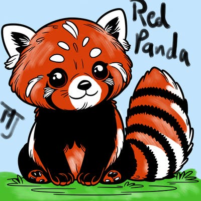 red panda