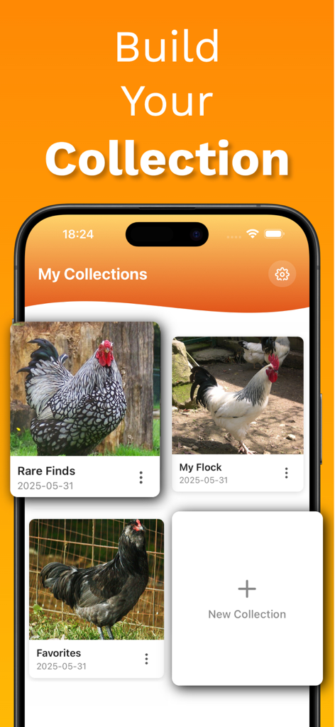 Chicken Identifier – RoostScan - Una pantalla de aplicación móvil titulada Mis Colecciones mostrando diferentes categorías de razas de pollos como Mi Parvada y Hallazgos Raros
