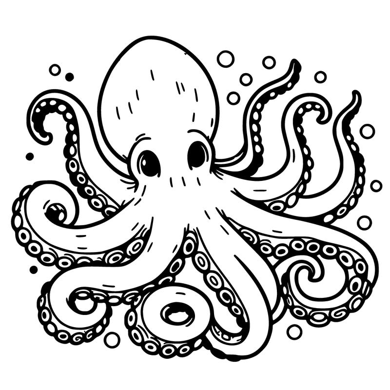 octopus