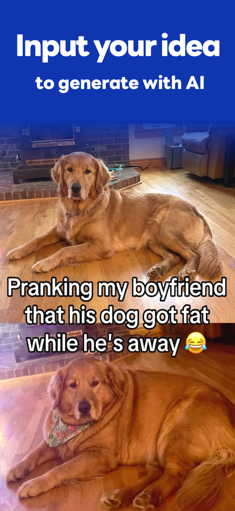 Yapper Image Prank AI - A before and after comparison showing a golden retriever dog transformed to look overweight for an AI prank