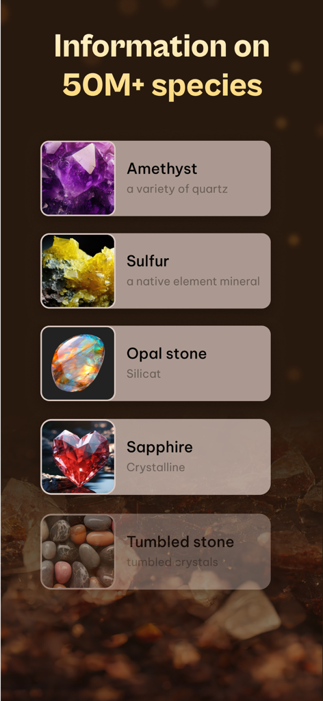 Tela de aplicativo móvel mostrando um banco de dados de mais de 50 milhões de espécies de pedras, incluindo Ametista e Safira