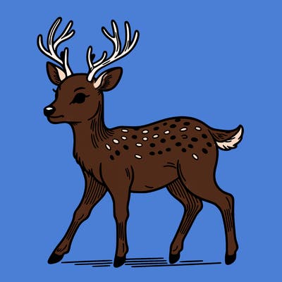 deer