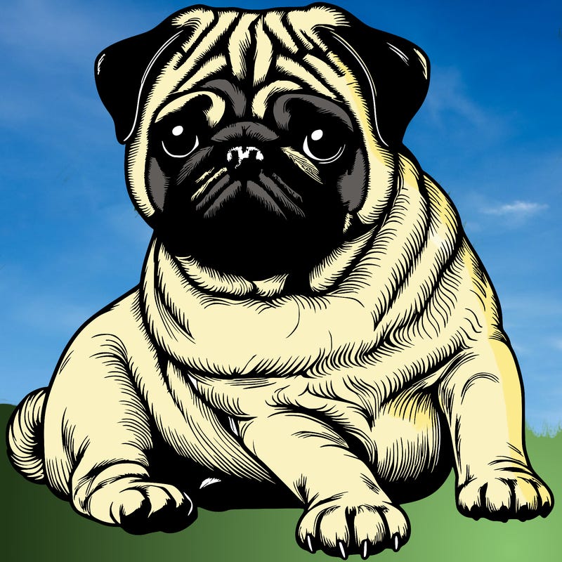 realistic pug