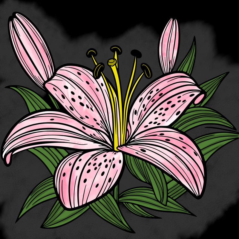 tiger lily