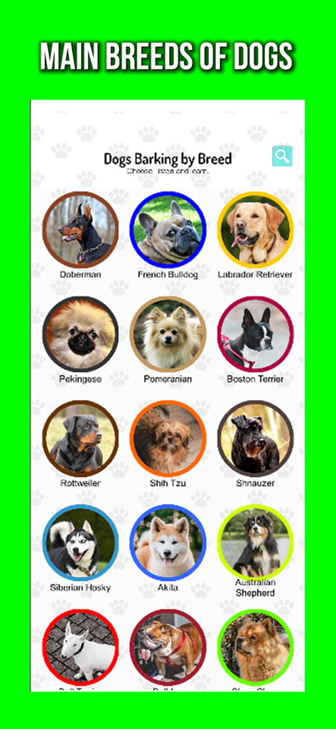 Un'interfaccia di app mobile che mostra una griglia di varie razze di cani con nomi e foto circolari sotto il titolo 'Razze principali di cani'.