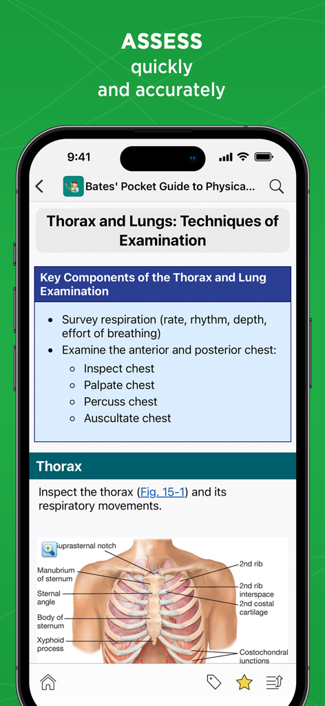 Bates' Pocket Guide - Clinical guide screen for thorax and lung examination in the Bates Pocket Guide mobile app.