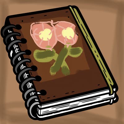 notebook