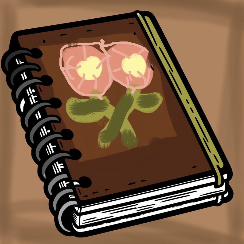 notebook