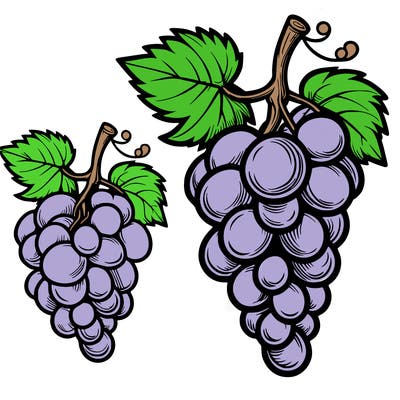 grapes