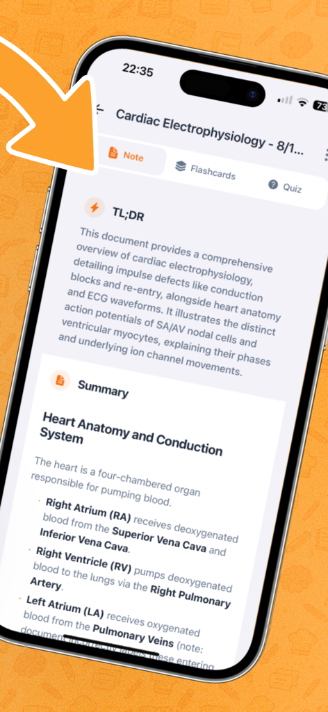 Notecook: AI Note Taker - Notecook app showing an AI-generated TL;DR and detailed summary for a cardiac electrophysiology study document on an iPhone