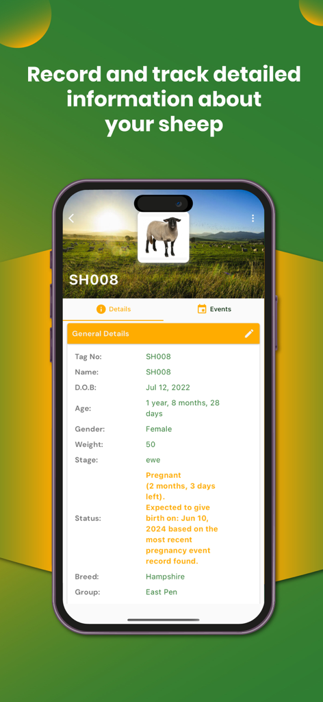 My Sheep Manager - Farming app - Screenshot of the My Sheep Manager app showing a detailed profile for a Hampshire ewe with tag number and pregnancy status