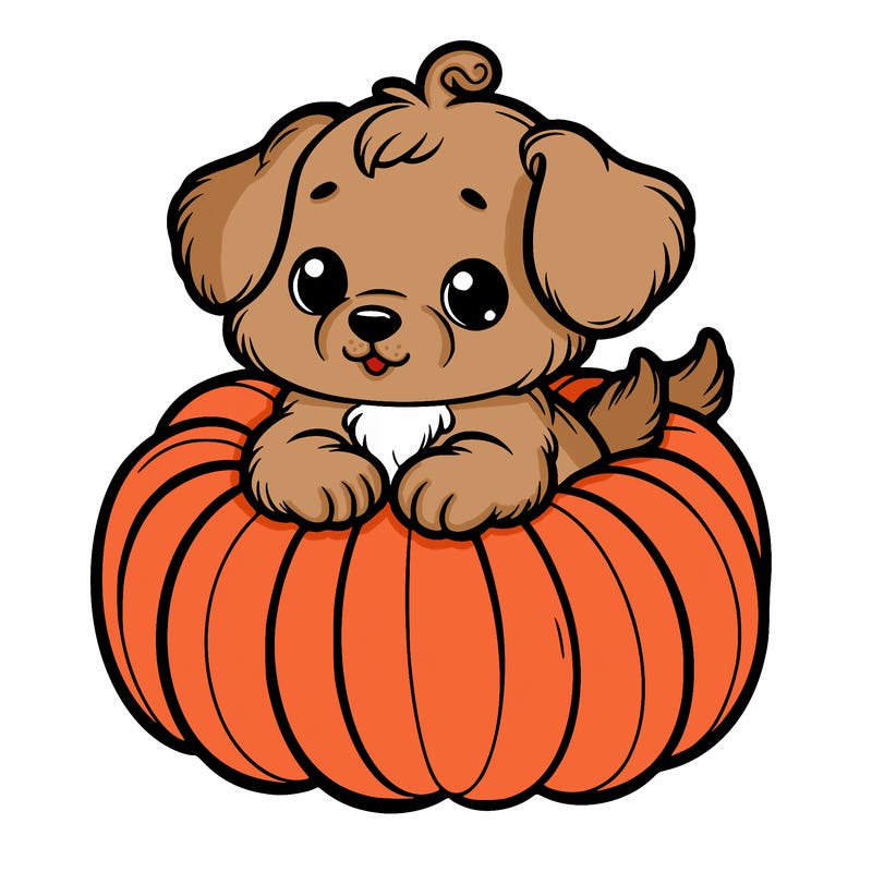 cute little puppy in a pumpkin