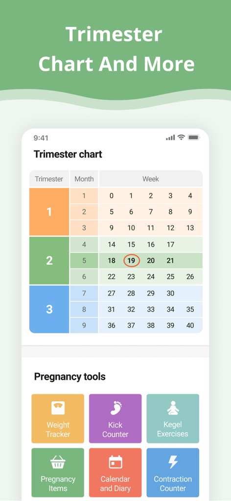 Pregnancy App. - Dashboard dell'app gravidanza che mostra un grafico trimestrale per settimana e mese insieme a icone per strumenti come il tracker del peso, il contatore dei movimenti fetali e il timer delle contrazioni