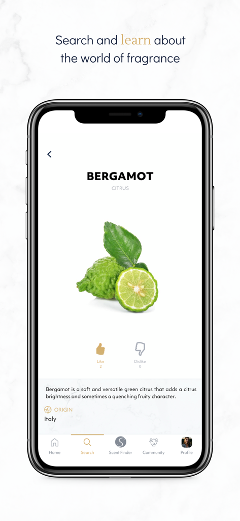Sniff. - A mobile app interface displaying information about the bergamot fragrance note including its origin and description