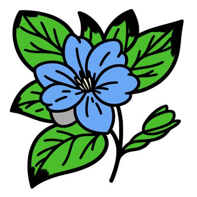 jasmine
