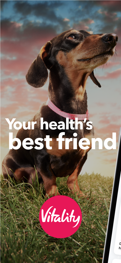 Power of Vitality - A dachshund dog sitting in grass with the slogan Your healths best friend and Vitality logo