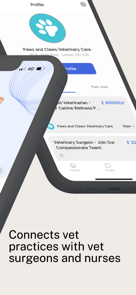 VetWork Pro - Interface do aplicativo VetWork Pro exibindo um perfil de clínica veterinária com listagens de empregos para cirurgiões e enfermeiros