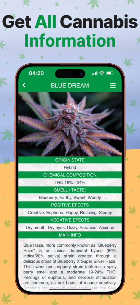 Detailed cannabis strain information screen showing THC levels and effects
